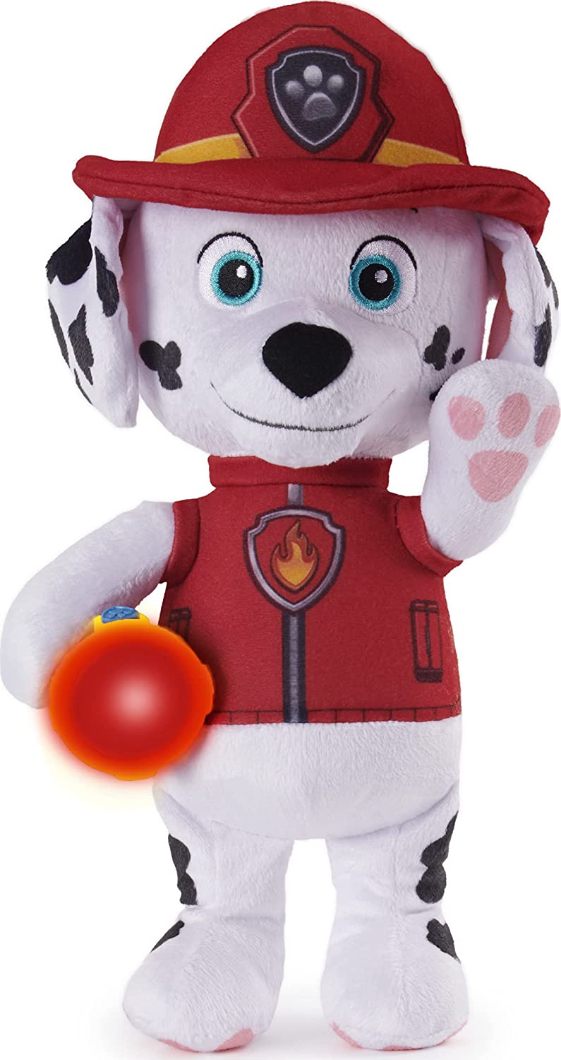 paw5
