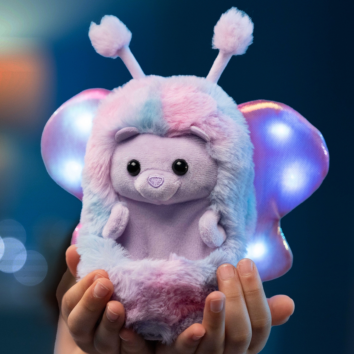 flutter2