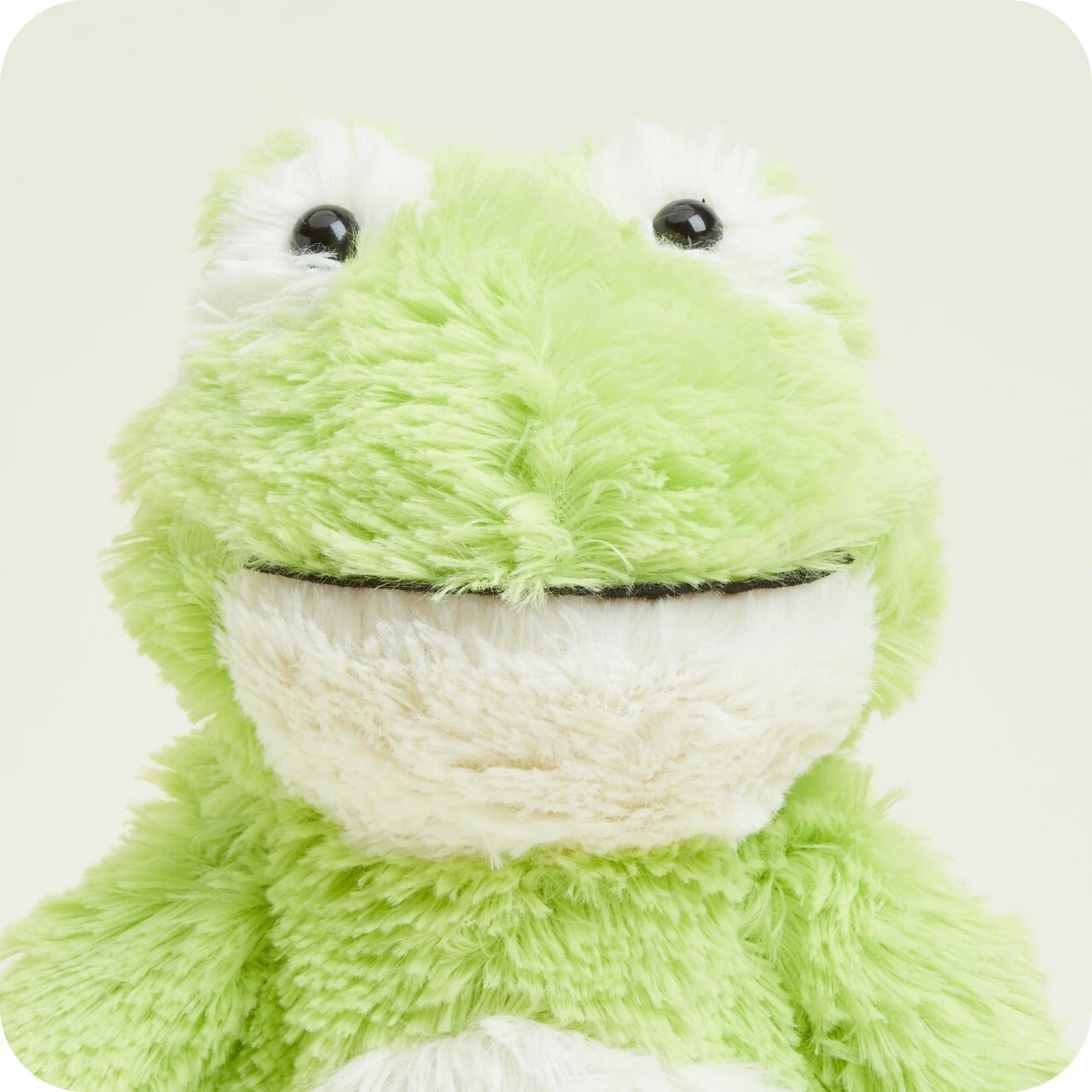 frog2