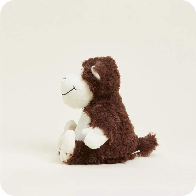 monkey4