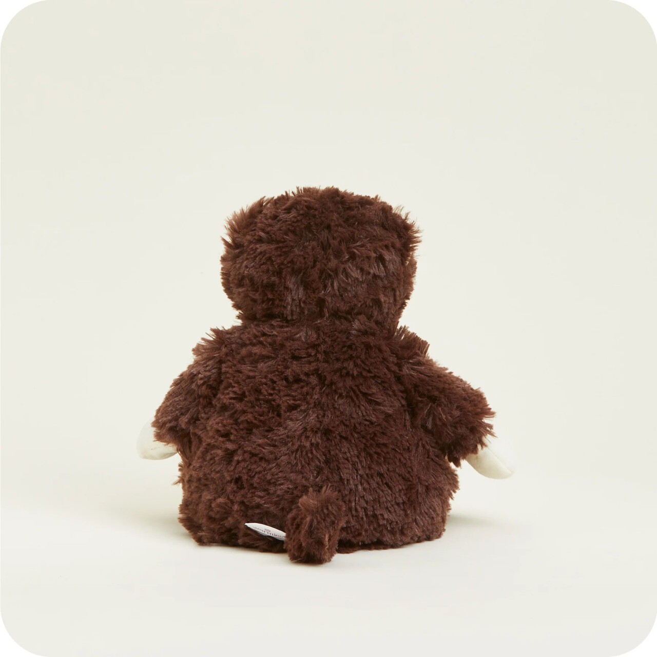 monkey5