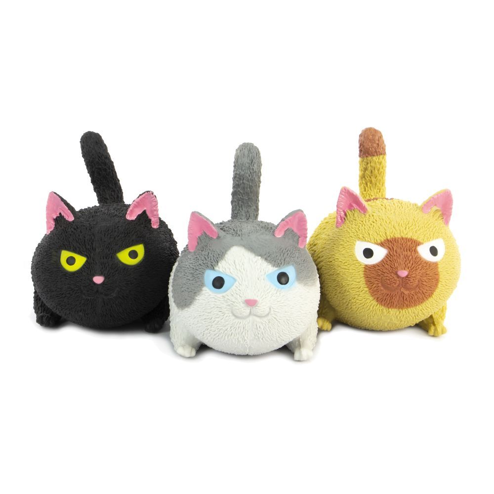 cat1