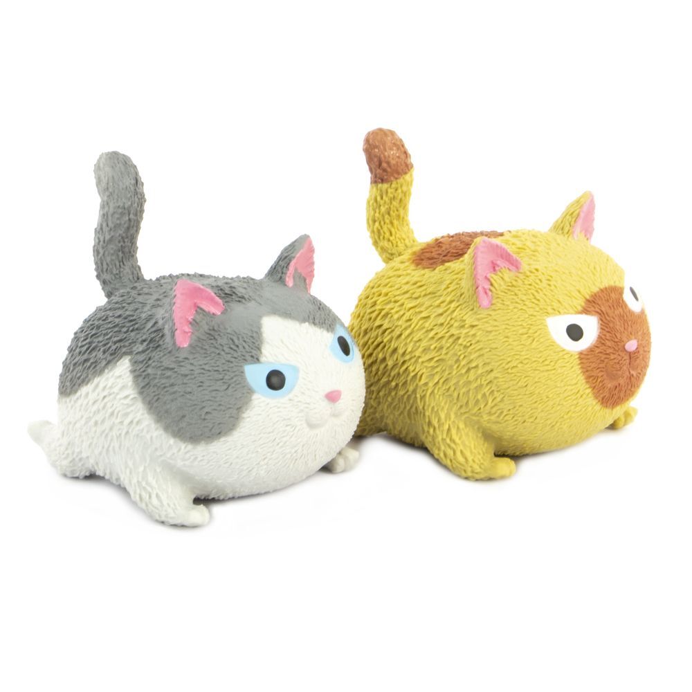 cat2