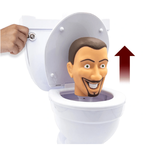 toilet4